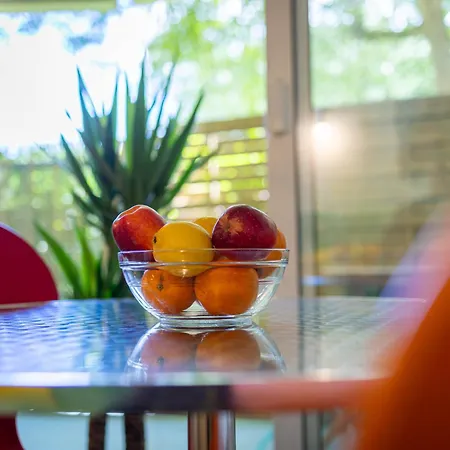 Le Cozy Corner - T3 & Terrasse Merignac (Gironde)